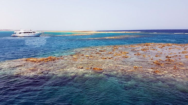 Korálové útesy u Abu Hashish